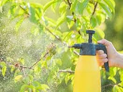 تصویر 5 از خرید و قیمت سموم ارگانوفسفات + فروش عمده